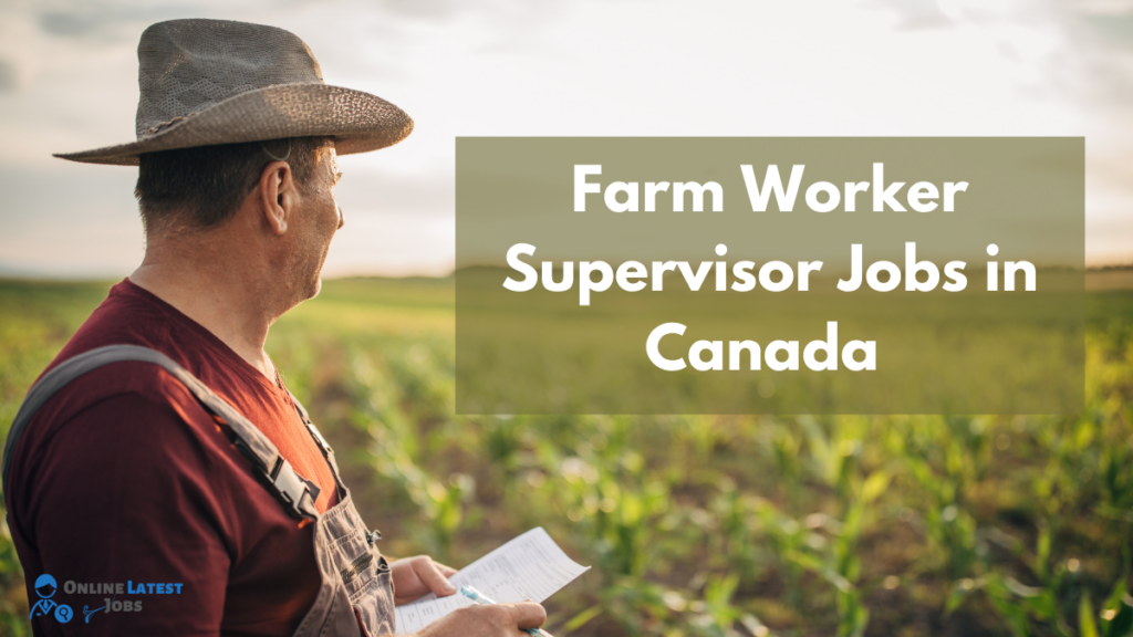 farm-worker-supervisor-jobs-in-canada-online-latest-jobs