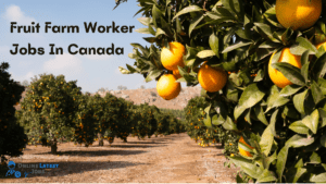 Fruit Farm Worker Jobs In Canada