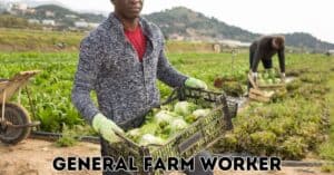 General Farm Worker jobs in Canada