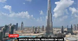 Office Boy/Girl Required in UAE