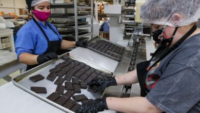 Chocolate Packing Helper Jobs Dubai