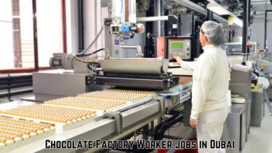Chocolate Factory Worker Jobs in Dubai