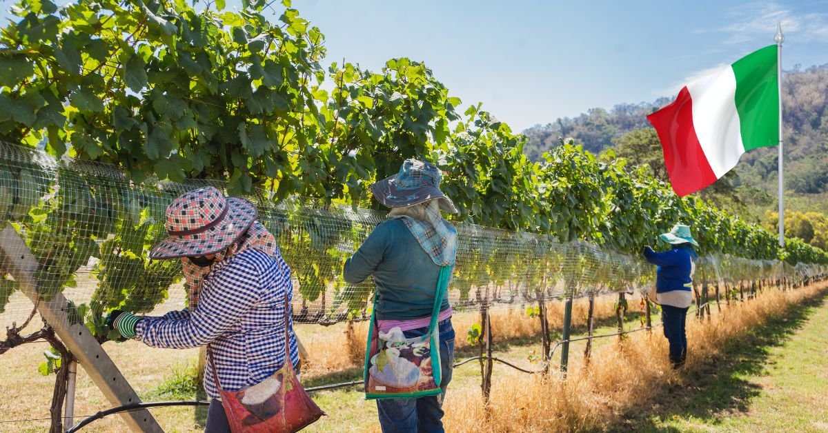 Farm Worker Jobs in Italy